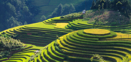 Visa requirements for Netherlands passport holders traveling to Vietnam